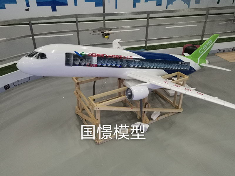 集贤县飞机模型